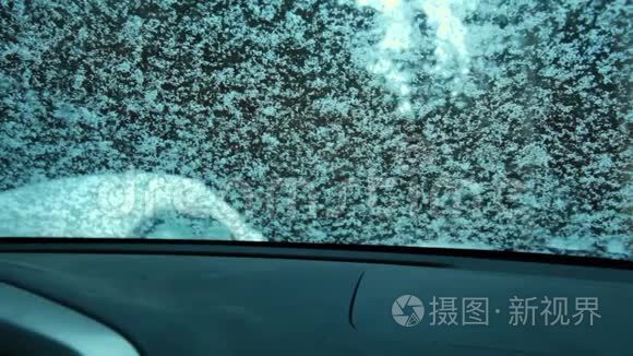 毒蛇在挡风玻璃上擦雪