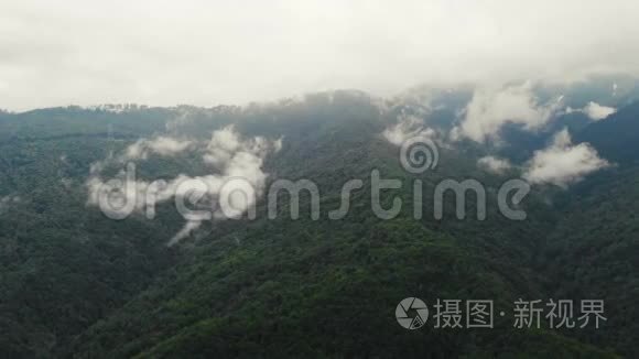 飞越一片令人惊叹的雨林，日出时带雾在雨林上空鸟瞰.. 4K空中录像，雨林