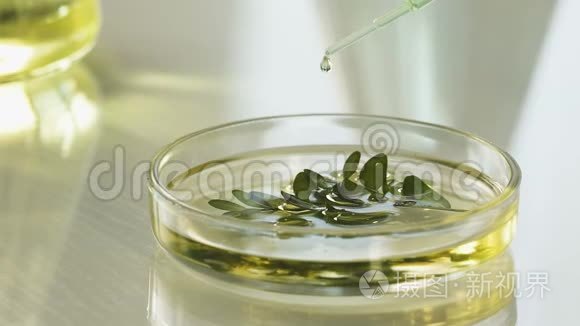 科学家在与植物的混合物中加入少量试剂，实验慢分子