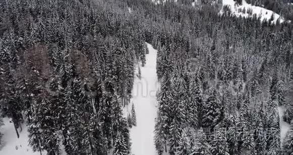 向前垂直空中在雪道上方，有树林的长路径。 多云的坏天气。 冬季白云