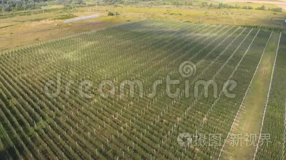 太阳能电池板农场空中生态能源视频