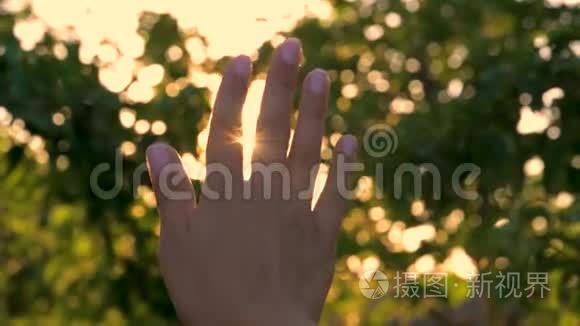 女人的手在花园的夕阳下，用手指触摸阳光