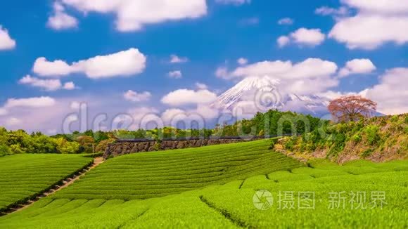 茶园与富士山视频