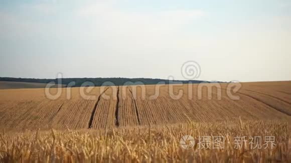 麦田在车窗外活动。