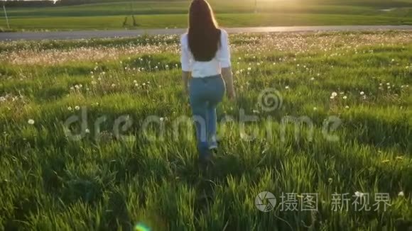 美丽的女孩带着蒲公英走在田野上