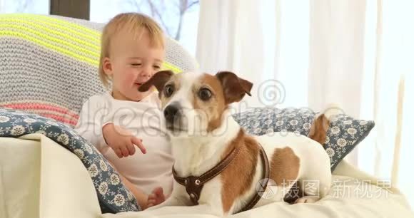 可爱的小男孩和有趣的狗在家视频