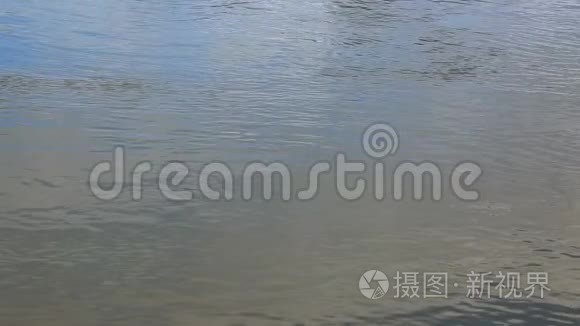 河流水面缓慢运动