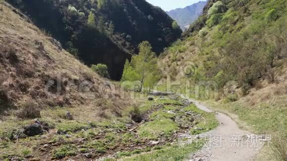 阿勒泰山小径青山绿水