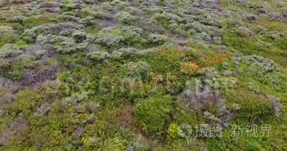 南方大海岸视频