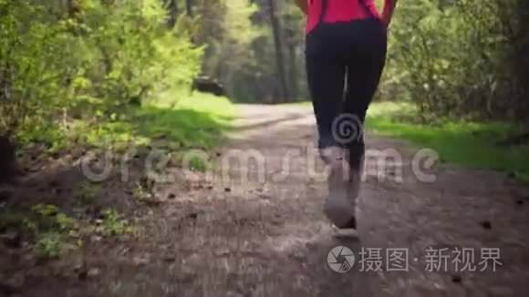 春天阳光明媚的森林里跑步的健身女子