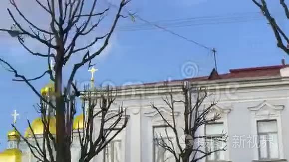 教堂圆顶和黑树视频