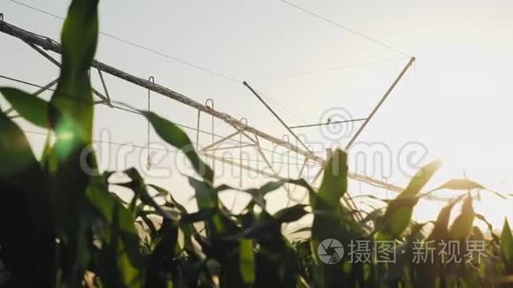 玉米田间灌溉系统视频