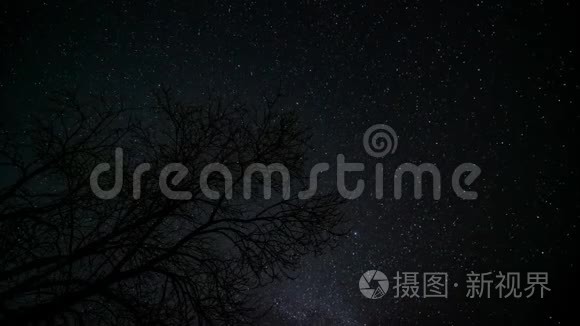 星空下的寂寞树视频