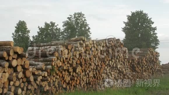 木材在砍伐后堆积起来视频