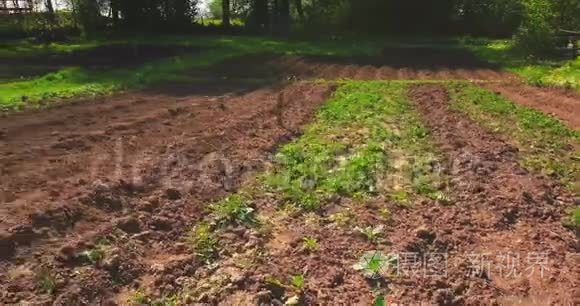 摄像机在花园的上方倾斜视频