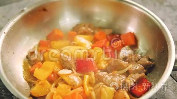 炖制食品烹调肉类蔬菜视频
