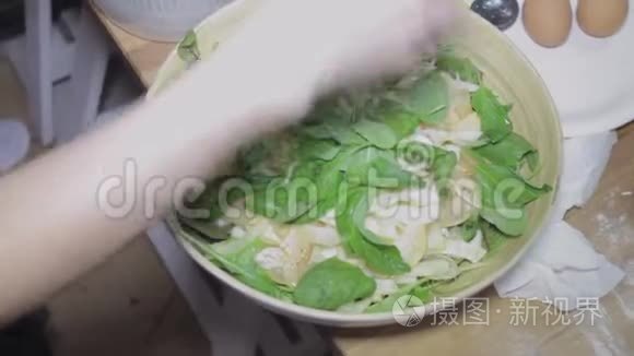 新鲜牛腿沙拉，奶酪，健康食品，饮食，滑头