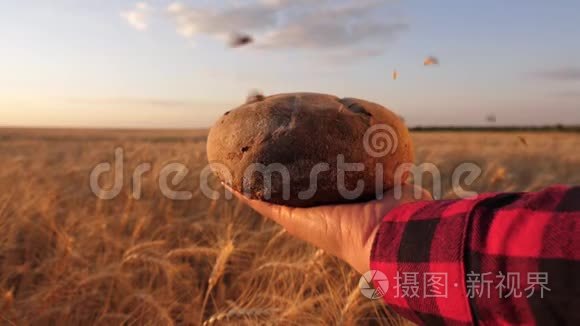 麦粒落在女孩手中的面包上，覆盖着一片麦田。 成熟的谷物倒在美味的面包上。 慢慢