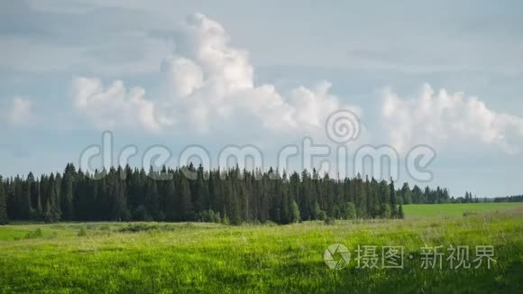 绿色草地时间流逝视频