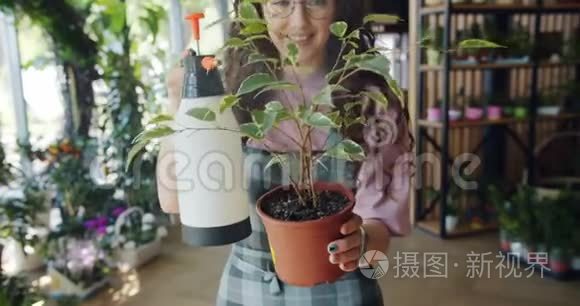 年轻女子花店用水喷洒盆栽植物视频