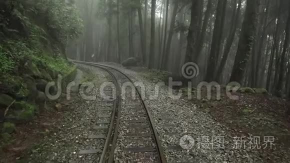 台湾雾霭、雾霾、雾霭的阿里山风景区森林废弃铁路