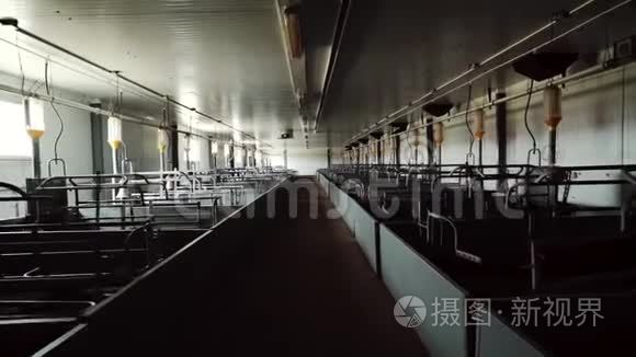 产房在空的现代工业猪场视频