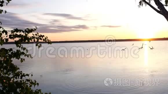 日落于平静的湖面，鸟儿在头顶盘旋