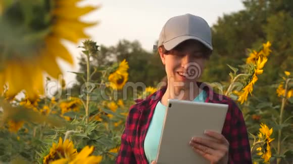 一个农学家研究向日葵作物并笑快乐的农民妇女在向日葵田里用平板电脑工作视频的预览图