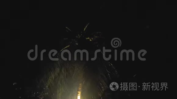 热带亚洲风的夜间热带雨