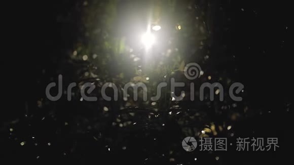 热带亚洲风的夜间热带雨视频