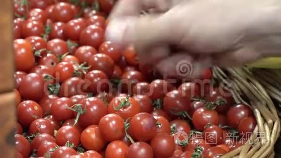 主题养生与天然美食.. 一个高加索人的特写`他的手握着，在超市的盒子里挑选一个西瓜。