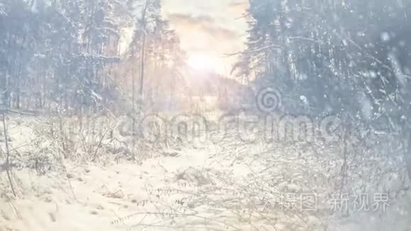冬天的雪花落在空心的地方视频