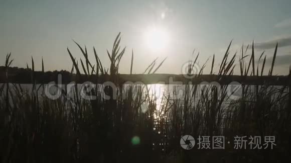 乡村一片池塘的夏日夕阳视频