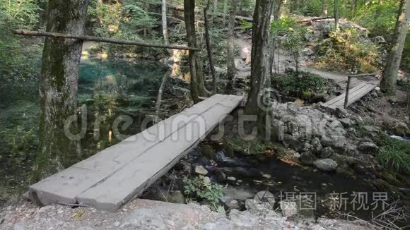 池塘和一条河视频