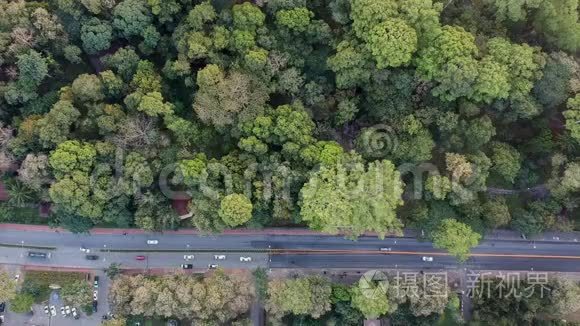 有汽车的森林道路的天空景色视频