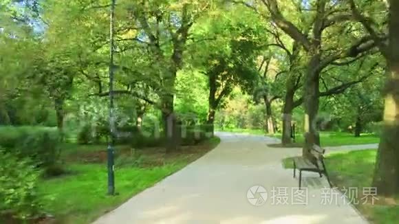 夏季沿城市公园道路行驶视频