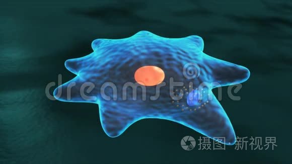 变形虫短视频