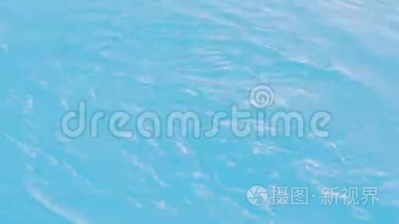 蓝水游泳池，水质运动背景