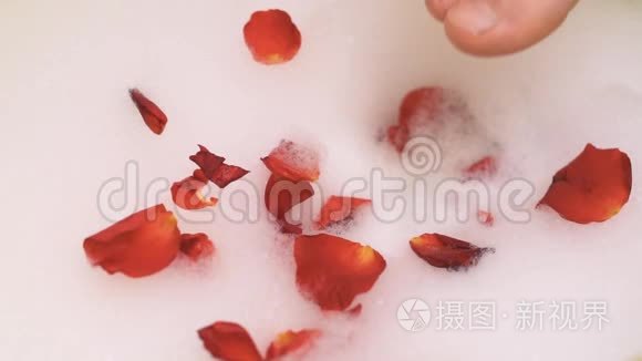 一只脚踩着红玫瑰花瓣的泡沫视频