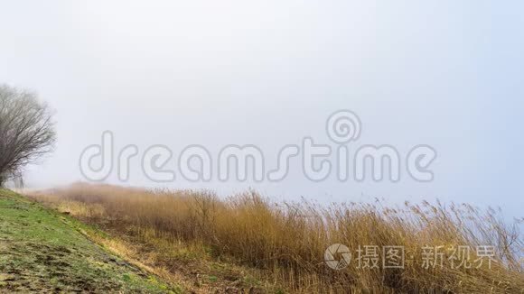 清晨雾在日本高谷子的晨景