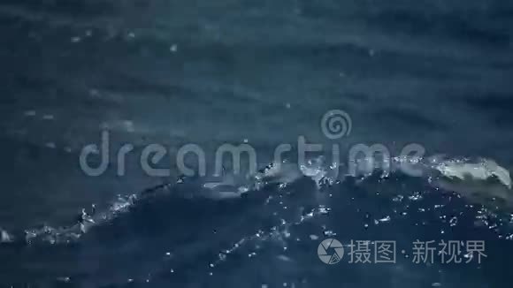 危险的波浪海视频