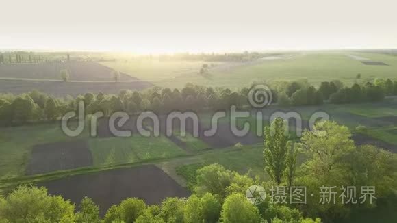 从无人机拍摄的4K空中全景视频，鸟瞰废弃跑道`森林的抽象几何形态