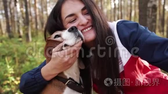 秋天公园的女孩和小猎犬在散步