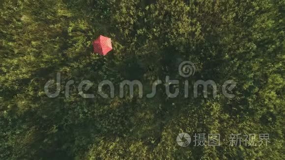 可爱的圆点伞穿过草地视频
