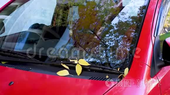 秋天的树映在红车的眼镜上，黄叶落在车上