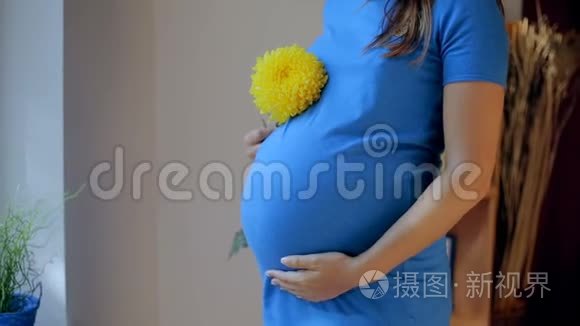 孕妇抱着她的肚子和花靠近窗户