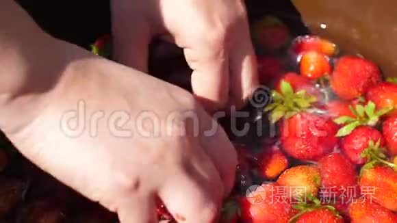 女人用手在水中洗鲜摘红草莓视频