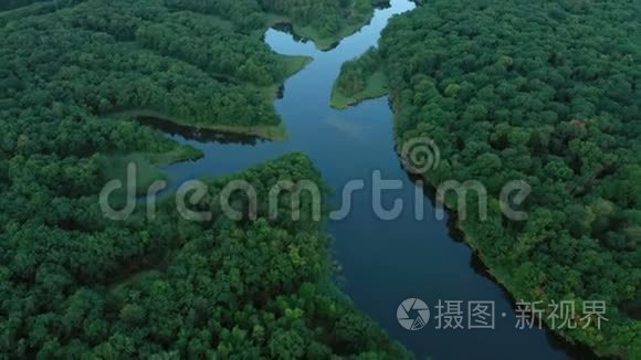 用河流和湖泊鸟瞰森林视频