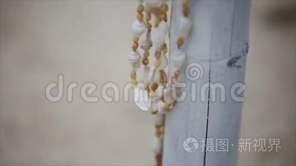 贝壳装饰视频