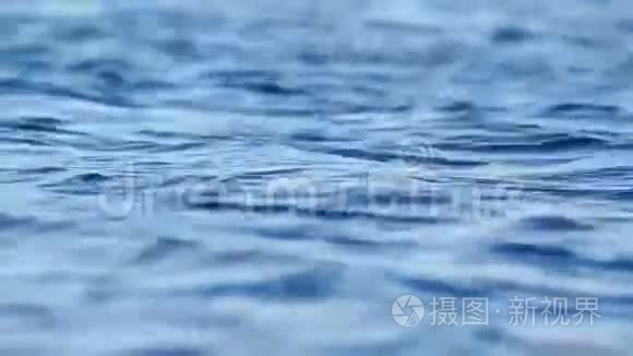 水波荡漾视频